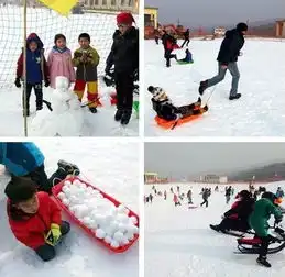 年初四草莓采摘玩转林山滑雪场入住五星碧桂园酒店,冰雪奇缘两日游