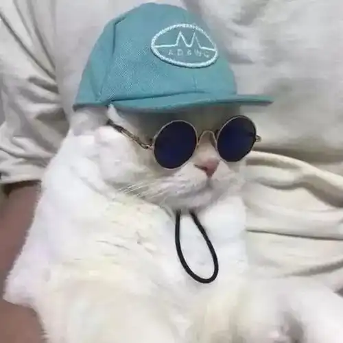 全网最火的头像来了