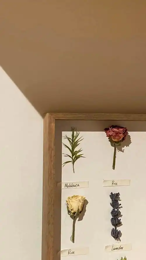 高级感小众ins壁纸ins高级质感背景图很小众却很惊艳的图片ins风小众简约高级壁纸私藏高级小众感壁纸复古高级感壁纸显得高级的手机壁纸