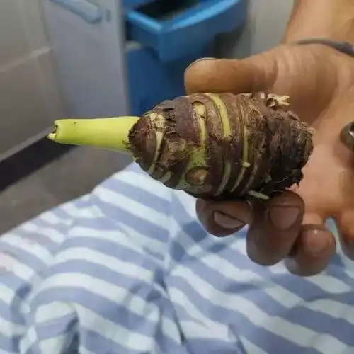 热点丨番禺街坊注意碰了一下就中毒,严重者可致命这个毒物很多人家里有