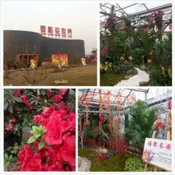 西安人进入办年货节奏快围观西安八大年货集散地