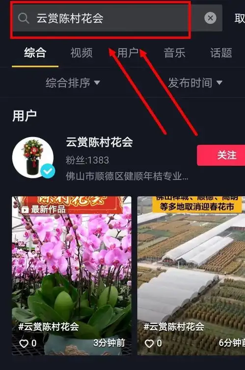 300万消费券云销售助力,快来一键云逛陈村花市