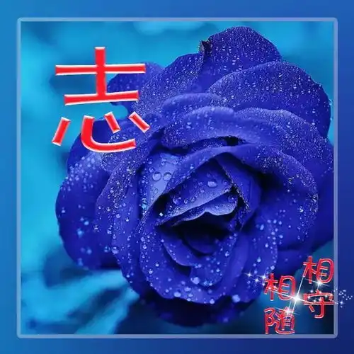 66款你的专属微信头像,姓氏头像,分享给大家,喜欢请留言