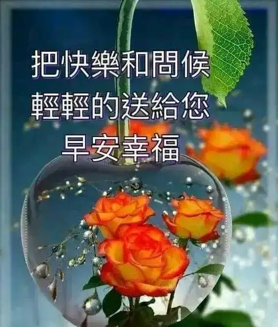 只有看开了,想通了,才能随缘随性随心而为,不急不躁