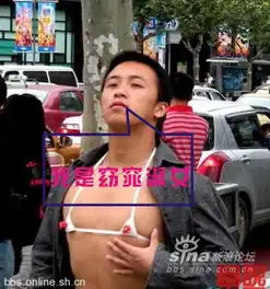 谁给我几张带我是窈窕淑女6个字的图片