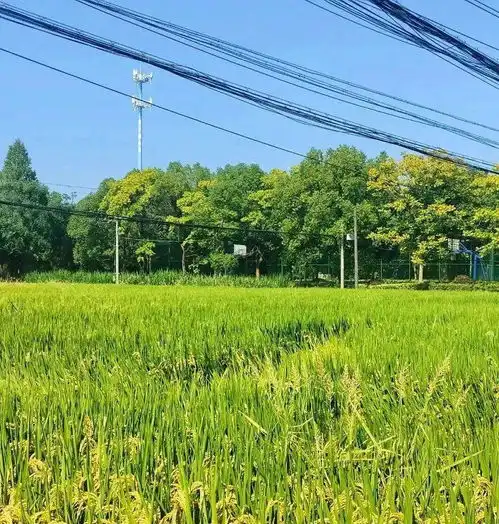 无标题