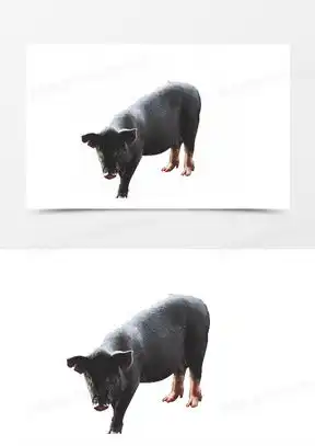 高清黑猪图片头像大全