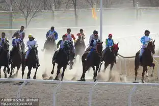 新疆博乐春季那达慕赛马会开赛