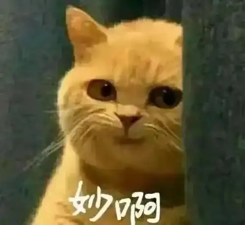 都说过了,不要裸聊......