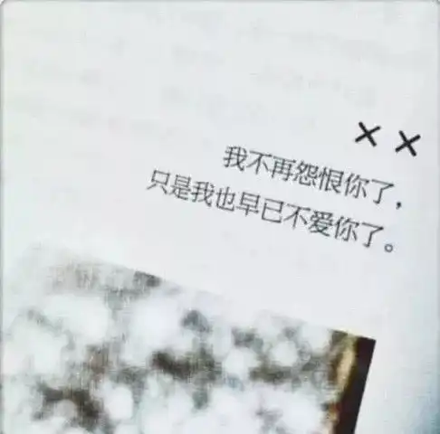 ins壁纸不是忽冷忽热没感情没留念,我只是懒