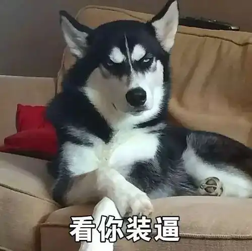 这16个段子太魔性,牙巴都笑落了