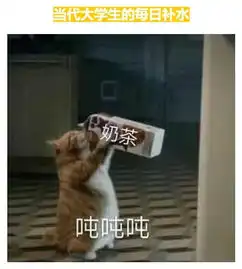 大学生活真的像高中老师说的那么轻松吗