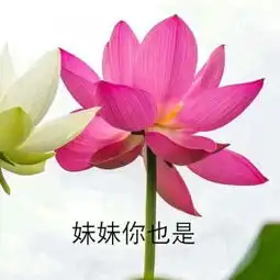 养老头像了解一下