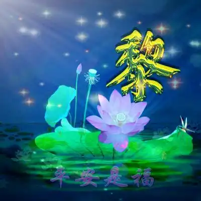微信最吉利的好看头像,平安是福莲花主题姓氏微信头像图片