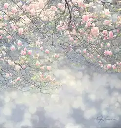 黄有维水彩世界的温情点滴,美到一塌糊涂绘画
