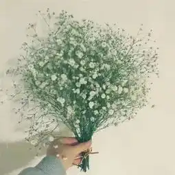 十句话,看清别人,明白自己大实话