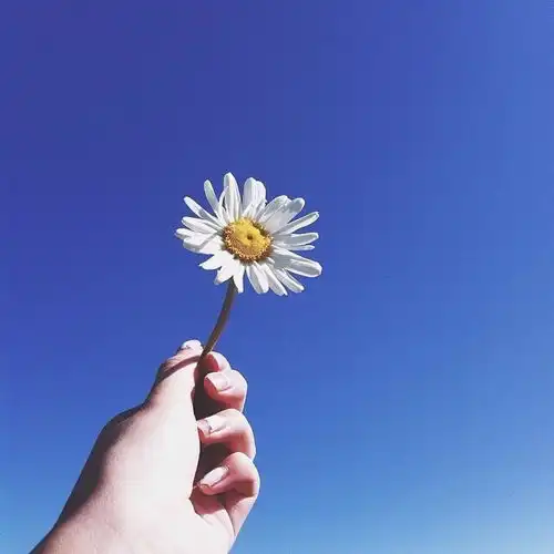 测试一个超长简介的文章
