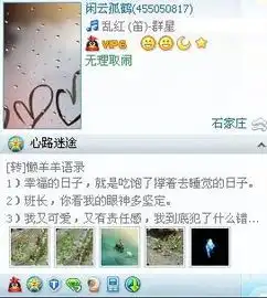 如何更改qq资料