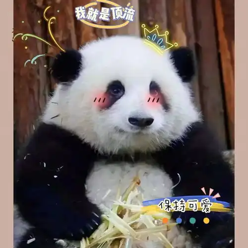 测试一个超长简介的文章