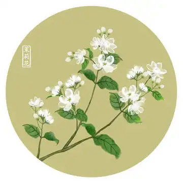古风茉莉花茶