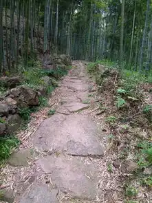 美丽乡村丨青青翠竹掩映下的红色足迹,择这一静谧之处即可