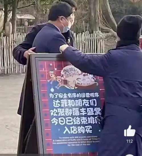 数千人凌晨3点在迪士尼排队有人憋到尿血崩溃跪地,只为买玩偶上迪春节出新品