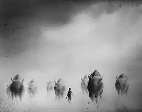 独特艺术图片eliciaedijanto的黑白水彩画