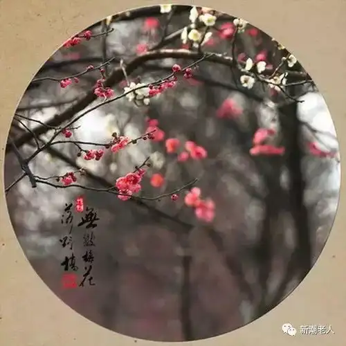 2018马上就要结束了,一切看淡,一切随缘吧