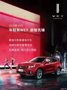 我是2020款vv5颜智先锋锐意登场