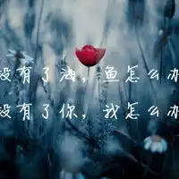 图片大全风景带字1