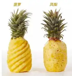 长相口感雷同的水果,却有着如此的贵贱之分,真是同果不同命