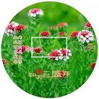 测试一个超长简介的文章