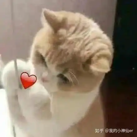 想到不能和喜欢的人在一起,就会很难过,怎么办