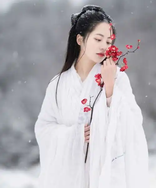 属马的人,将来能富足无忧