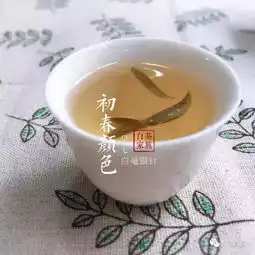 冬天喝老白茶该注意什么一不喝浓茶,二不喝隔夜茶