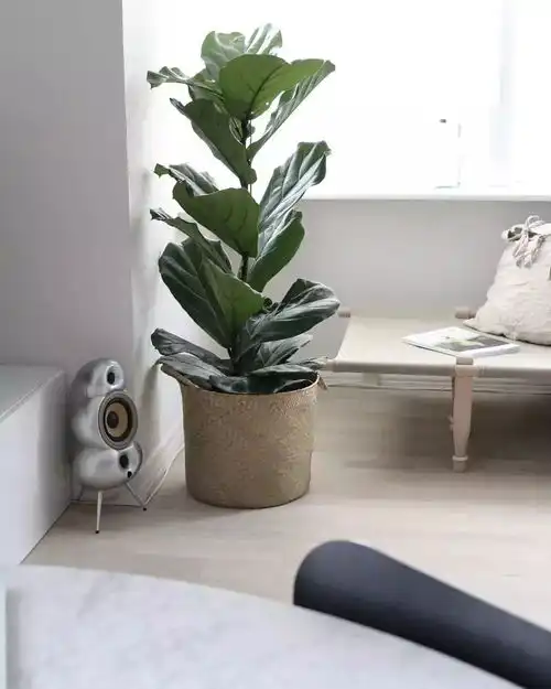 花小钱来的高级感,ins网红拍照必备这10样宝贝