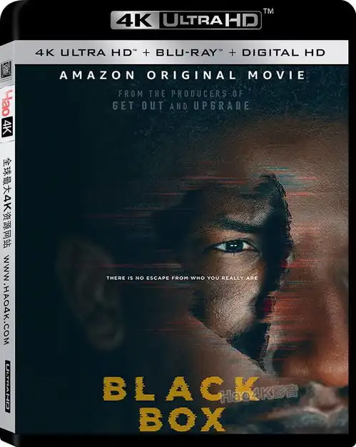 黑盒子4k电影black.box.2020uhd2160p资源已发布更新