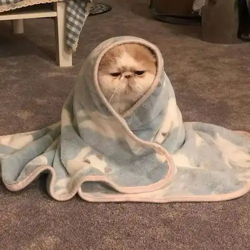 每天的理想生活