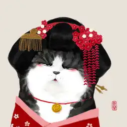 送给每一个给猫洗过澡的铲屎官们