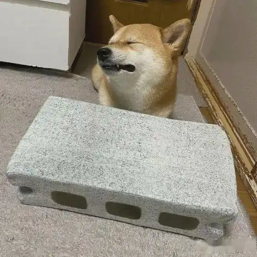 男生之间聊天能有多骚哈哈哈哈哈我输的太彻底了