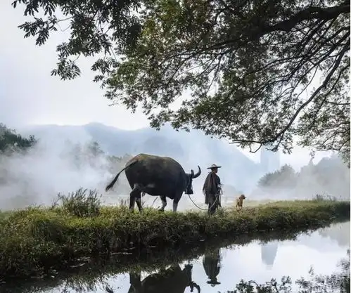 中国的地理条件有多好实际平原面积超80国家,并且都很宜居