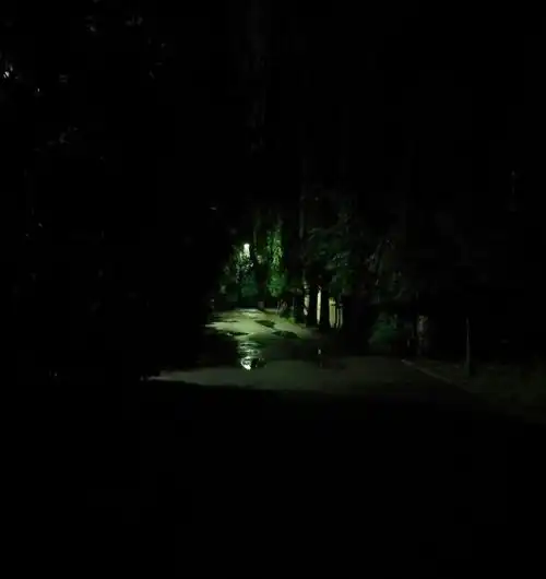 测试一个超长简介的文章