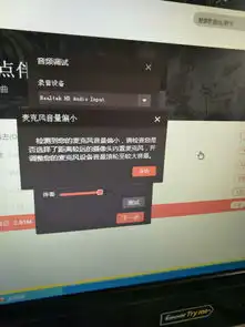 下载的电脑版全民k歌,但是录不进声音,设置一下提示这个怎么