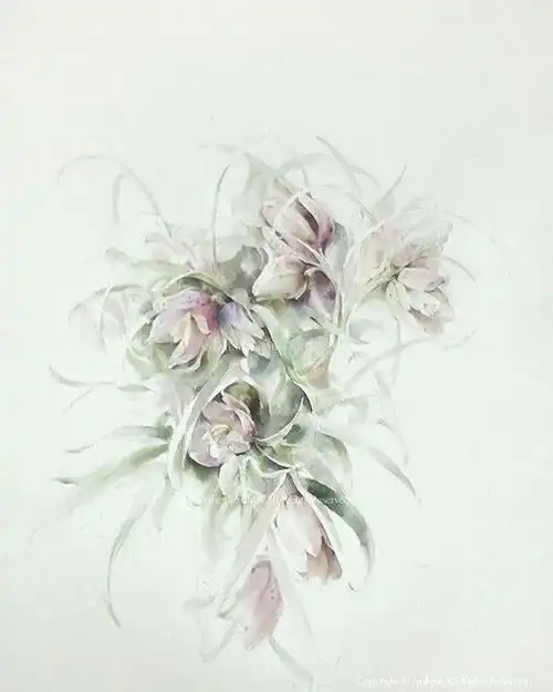 wishyu淡雅的水彩手绘花卉,柔和至极