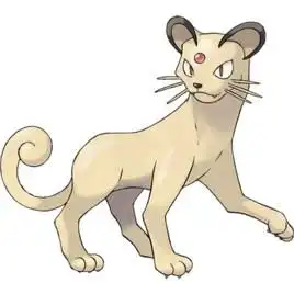 猫大哥
