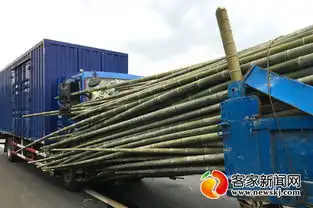 货车追尾遭竹子万箭穿心幸运驾驶员只受皮外伤