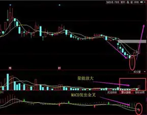参股券商举牌第一股,国资驰援超级利好,后市有望持续暴涨