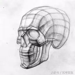画画这么久了,素描结构还不会,猛戳这里