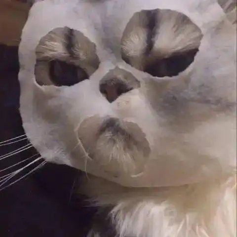 哪有什么天生丽质,只是我们天天敷面膜
