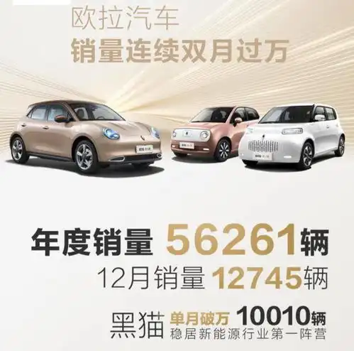 同比劲增334.7长城欧拉黑猫操作有点秀
